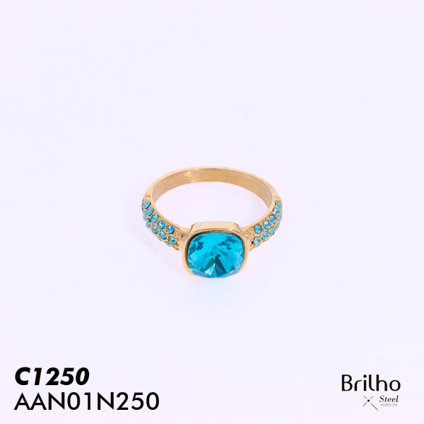 AAN01N250 ANILLO